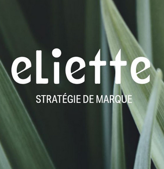 Le groupe Sud Ouest lance Eliette, sa nouvelle agence de communication Le groupe Sud Ouest lance Eliette, sa nouvelle agence de communication