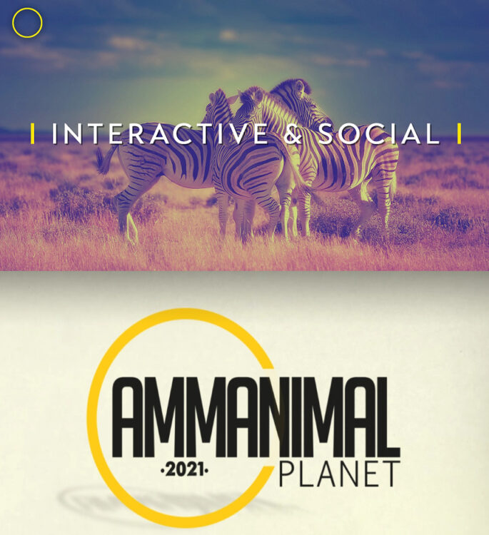 AMMA 2021 : Retour sur les dossiers sélectionnés dans la catégorie ‘Best Use of Interactive & Social’ AMMA 2021 : Retour sur les dossiers sélectionnés dans la catégorie ‘Best Use of Interactive & Social’