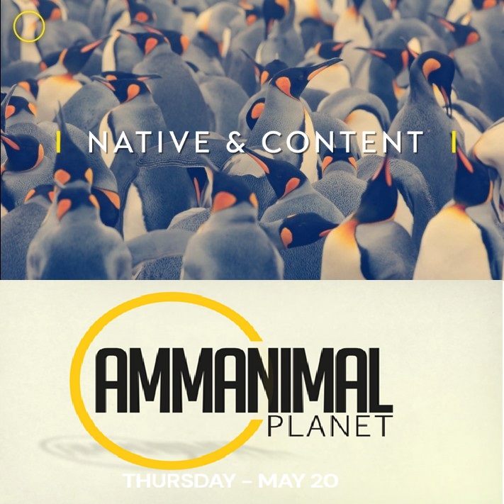 AMMA 2021 : Retour sur les dossiers sélectionnés dans la catégorie ‘Best Use of Native and Content’