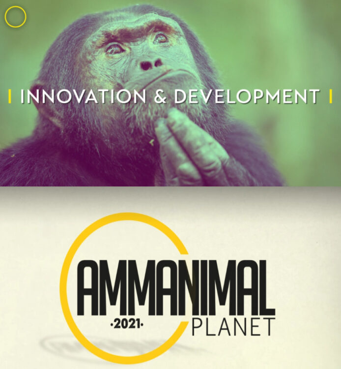 AMMA 2021 : Retour sur les dossiers sélectionnés dans la catégorie ‘Innovation & Development’ AMMA 2021 : Retour sur les dossiers sélectionnés dans la catégorie ‘Innovation & Development’