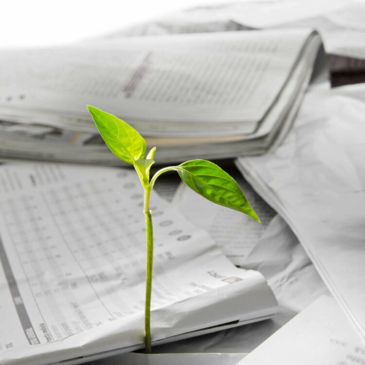 L’impact environnemental des journaux et des magazines en question(s) L’impact environnemental des journaux et des magazines en question(s)