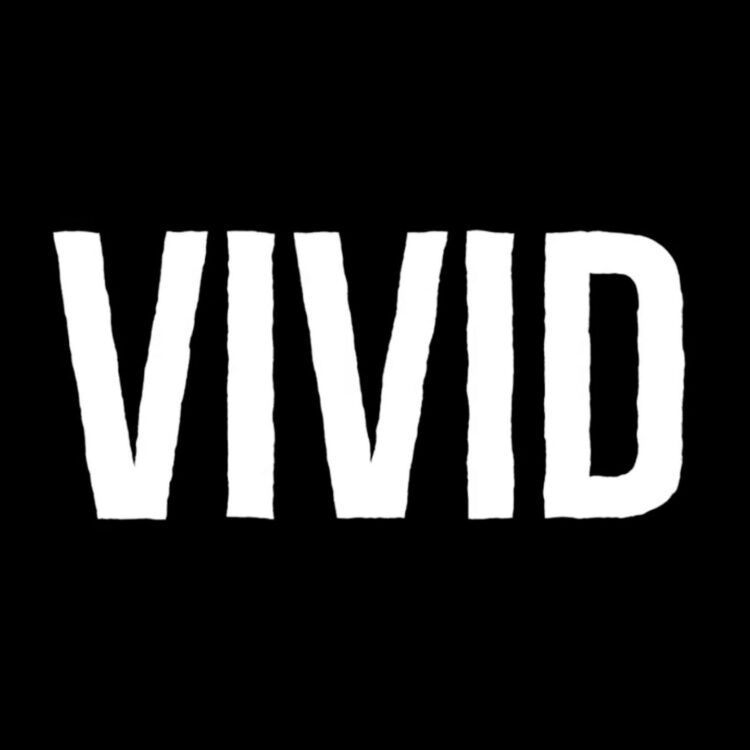 Team Lewis introduceert VIVID: impactvolle storytelling