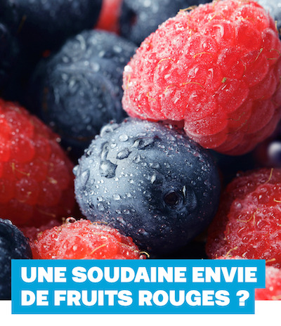 “Lire un magazine fait naître l’envie” – WE MEDIA, la fédération professionnelle des magazines, met à l’honneur les spécificités des magazines “Lire un magazine fait naître l’envie” – WE MEDIA, la fédération professionnelle des magazines, met à l’honneur les spécificités des magazines