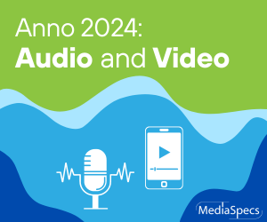 Anno 2024 : le type de média Radio/TV est divisé en Audio et Vidéo