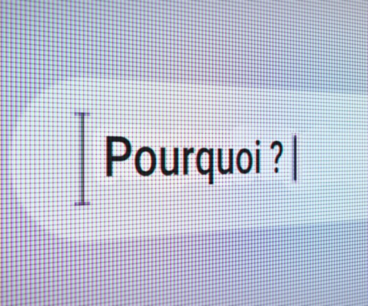 “Pourquoi?”, l’incontournable question pour comprendre “Pourquoi?”, l’incontournable question pour comprendre