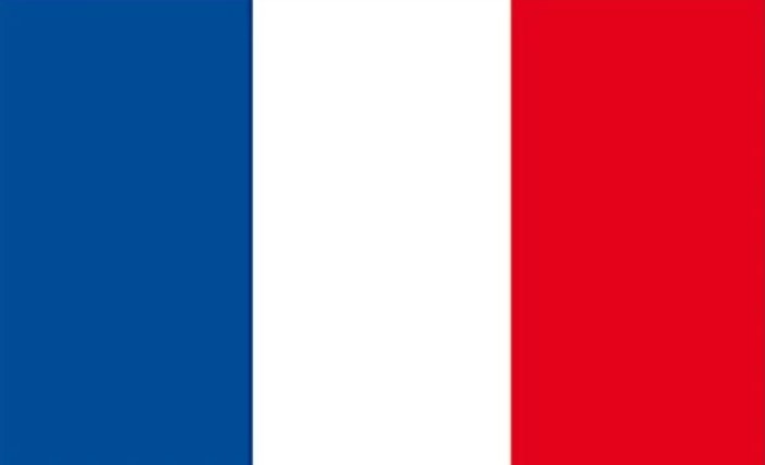 Inspiration des médias en France