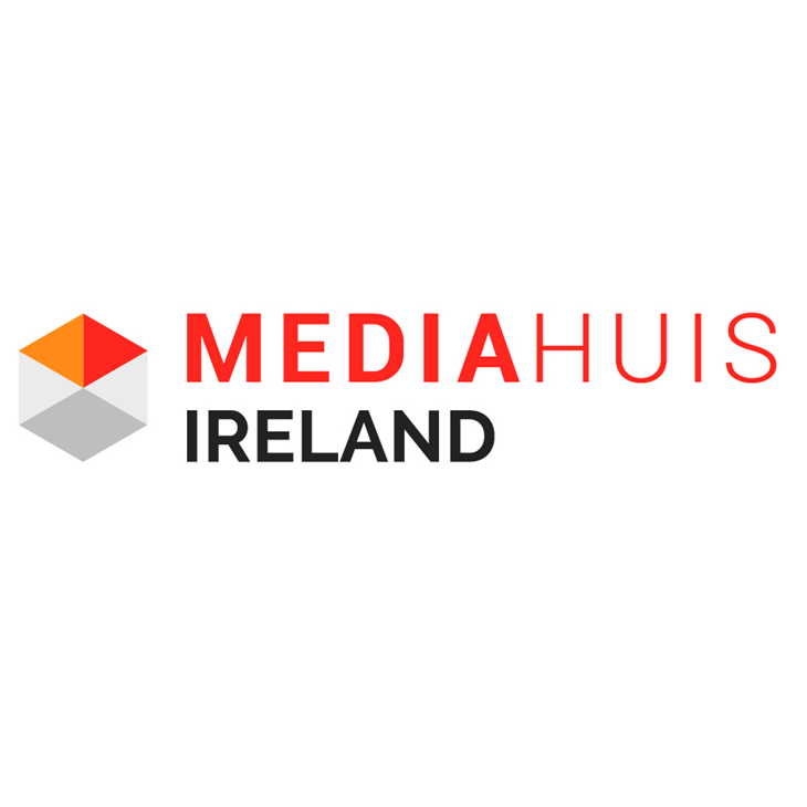 La branche irlandaise de Mediahuis poursuit X en justice pour de fausses publicités