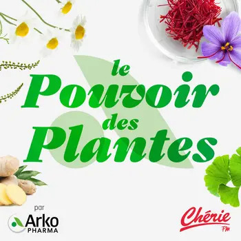 Arkopharma et le collectif Jean-Paul déploient le podcast « Le Pouvoir des Plantes » pour sa 4ème saison